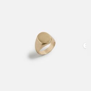 Zara Classic Gold Signet Ring - Size M - NWT